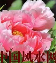 淮南预示你财运上升，姻缘可成的梦境，快来看看吧！